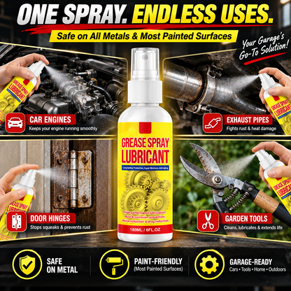 Anti-Rust Lubricant Spray & Rust Remover