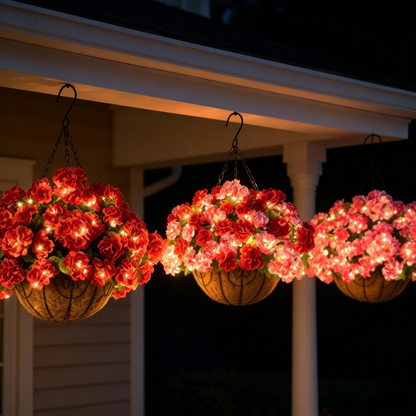 Classic Geraniums – The Christmas Flower That Never Wilts, Never Fades, Never Needs Watering