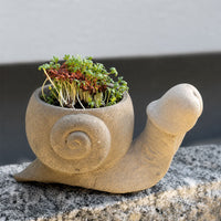 snail