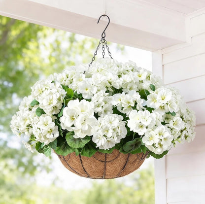 Classic Geraniums – The Christmas Flower That Never Wilts, Never Fades, Never Needs Watering