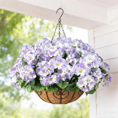 Classic Geraniums – The Christmas Flower That Never Wilts, Never Fades, Never Needs Watering
