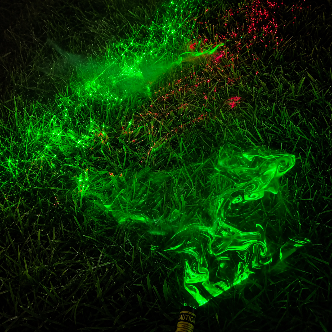 Halloween laser on tree