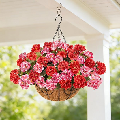 Classic Geraniums – The Christmas Flower That Never Wilts, Never Fades, Never Needs Watering