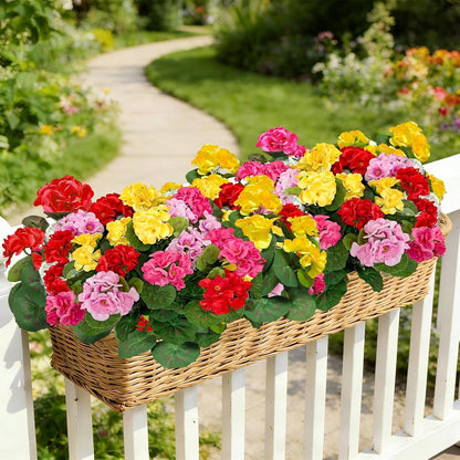 Classic Geraniums – The Christmas Flower That Never Wilts, Never Fades, Never Needs Watering