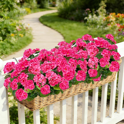 Classic Geraniums – The Christmas Flower That Never Wilts, Never Fades, Never Needs Watering
