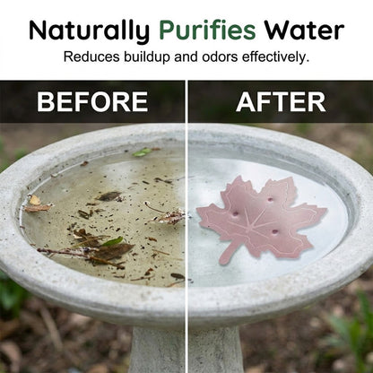 🌿Universal Fit Bird Bath Purifier🐦💦Wildlife-Safe Leaf Purifier for Fresh, Clear Water in Any Garden Basin | Rust-Resistant & Low Maintenance🛡️✨