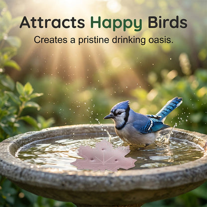 🌿Universal Fit Bird Bath Purifier🐦💦Wildlife-Safe Leaf Purifier for Fresh, Clear Water in Any Garden Basin | Rust-Resistant & Low Maintenance🛡️✨
