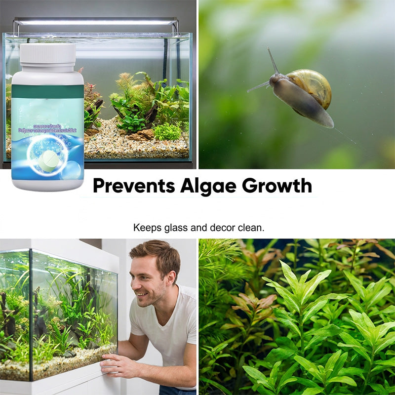 🐠 BUY 2 GET 3 FREE! 💧 Effervescent Tablets for Crystal Clear Fish Tanks – Removes cloudiness & odors, safe for fish & plants – fast-acting, drops clear in minutes 🌿